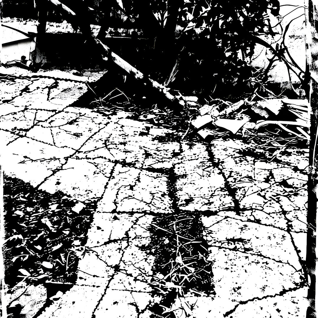Concrete chaos in the form of shattered sidewalks and crumbling buildings, with vines and weeds growing through the cracks in the shape of the state of Florida --fp1k --myface  